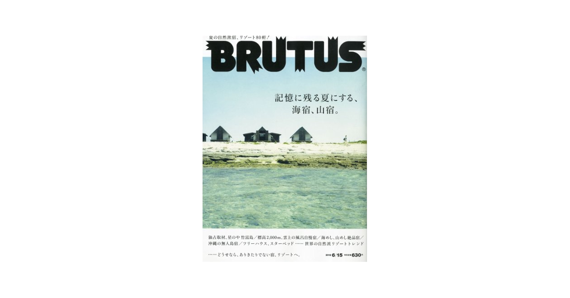 雑誌ブルータス　BRUTUS　6冊セット BRUTUS(ブルータス) 2022年1/15号 (発売日2021年12月15日